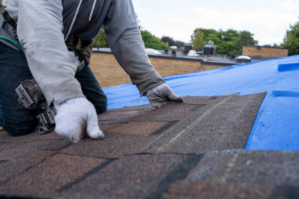 Best Commercial Roofing Services  in Farmerville, LA