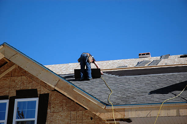 Roof Gutter Cleaning in Farmerville, LA